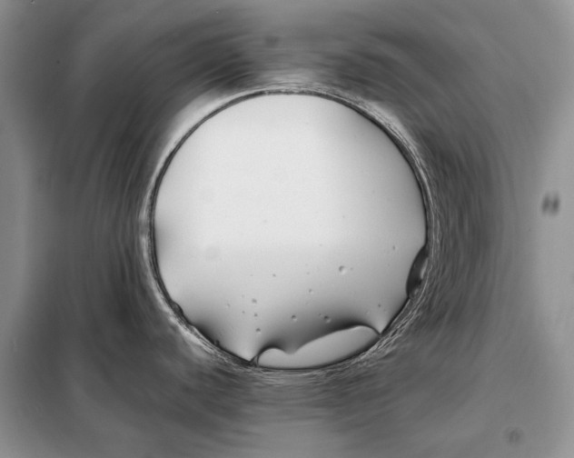 X0000098081440200805021011