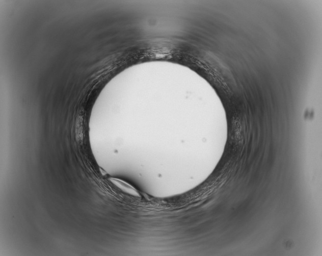 X0000098081442200805021011