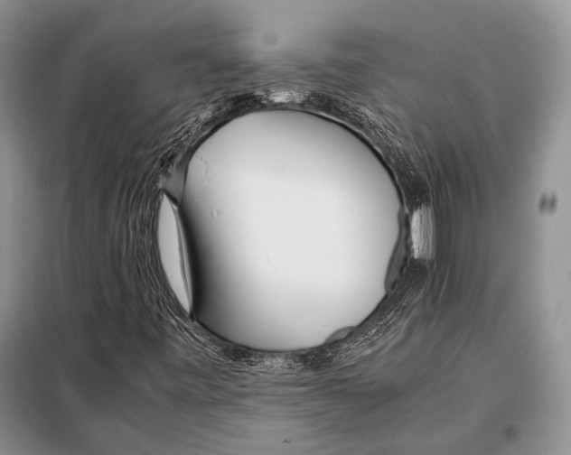 X0000098081443200805021011