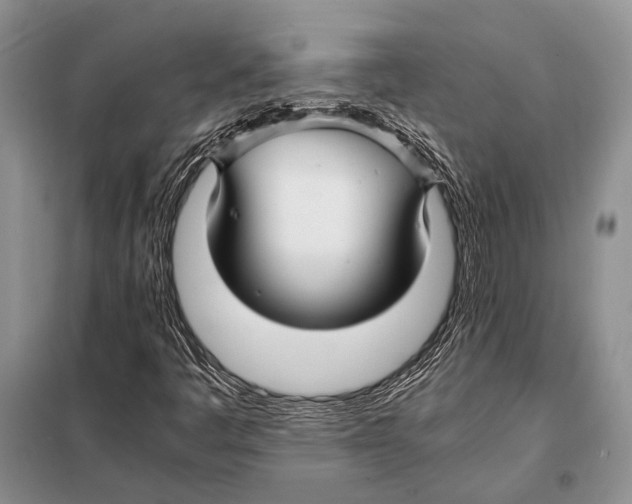 X0000098081445200805021010