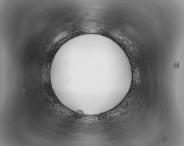 X0000098081446200805021010