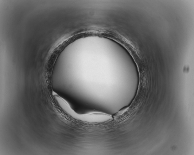 X0000098081448200805021010
