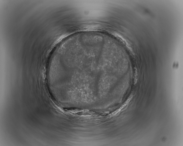 X0000098081449200805021010