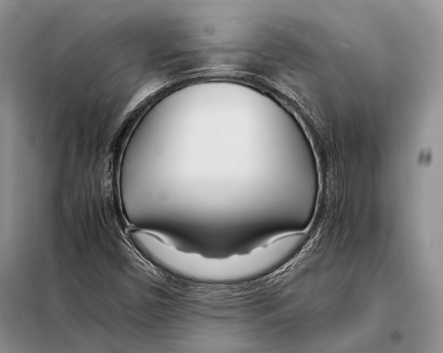 X0000098081450200805021010