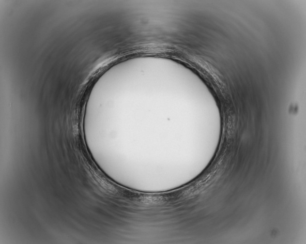 X0000098081451200805021010