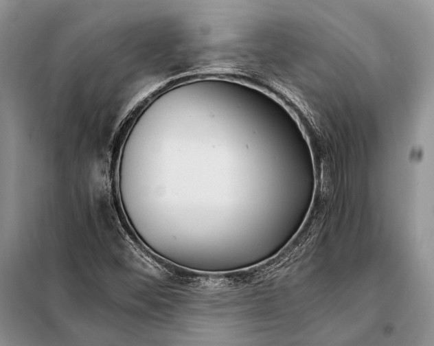 X0000098081452200805021010