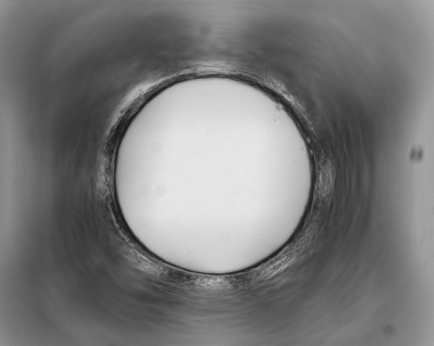 X0000098081454200805021010