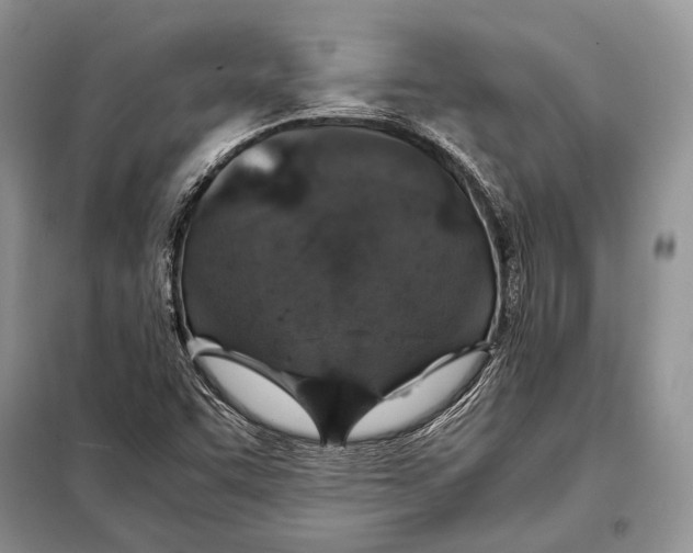 X0000098081455200805021010