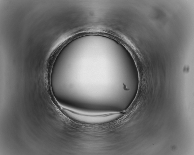 X0000098081456200805021010