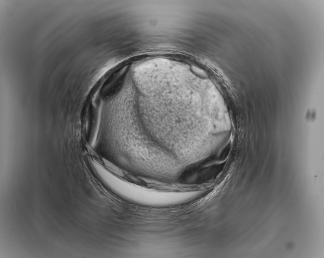 X0000098081457200805021010