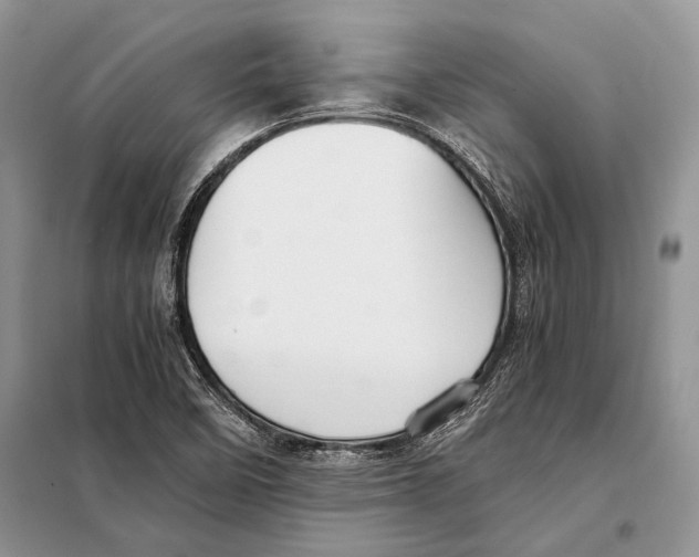 X0000098081458200805021010
