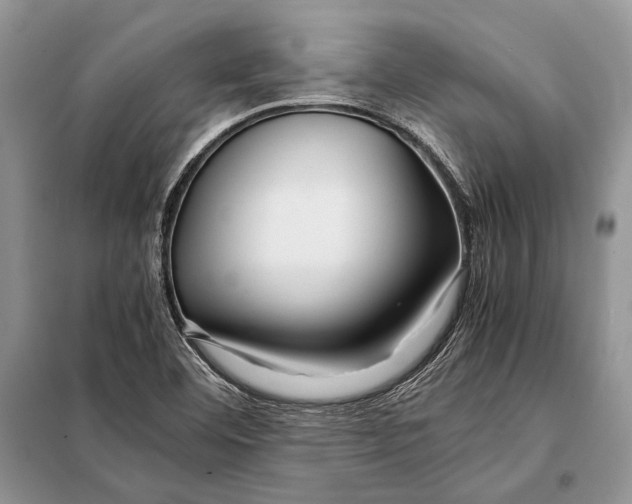 X0000098081460200805021010