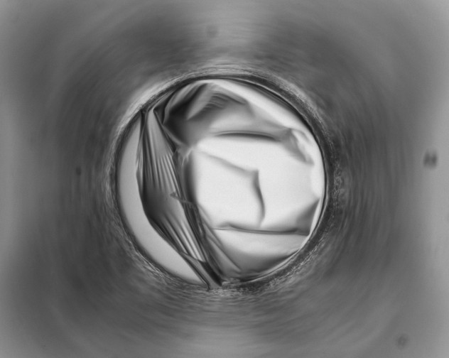 X0000098081461200805021010