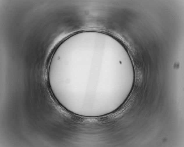 X0000098081462200805021010