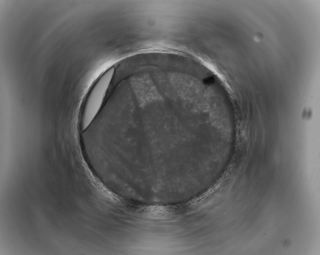 X0000098081463200805021010