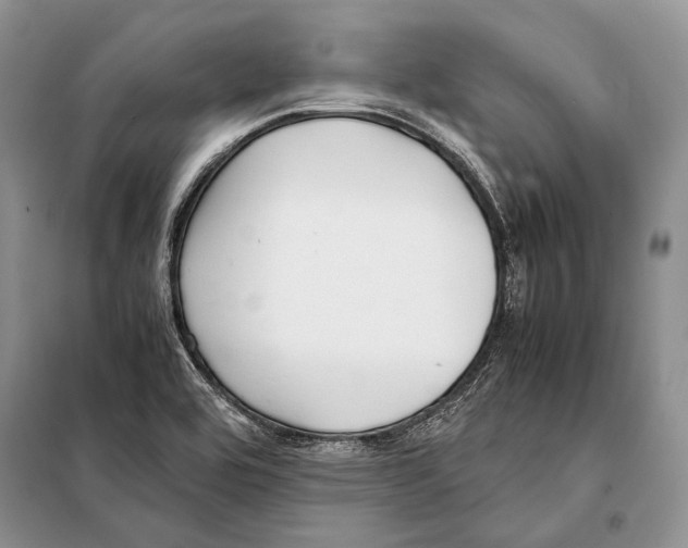 X0000098081464200805021010