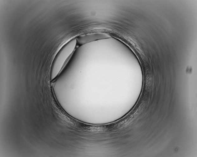 X0000098081465200805021010