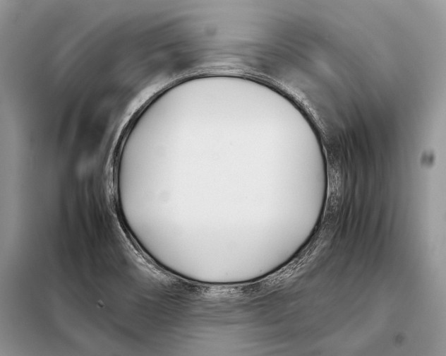 X0000098081466200805021010