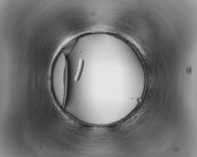 X0000098081469200805021010