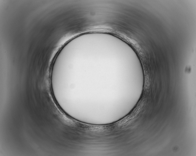 X0000098081470200805021010