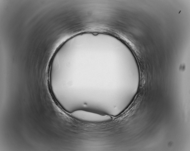 X0000098081471200805021010