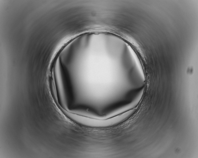 X0000098081472200805021010