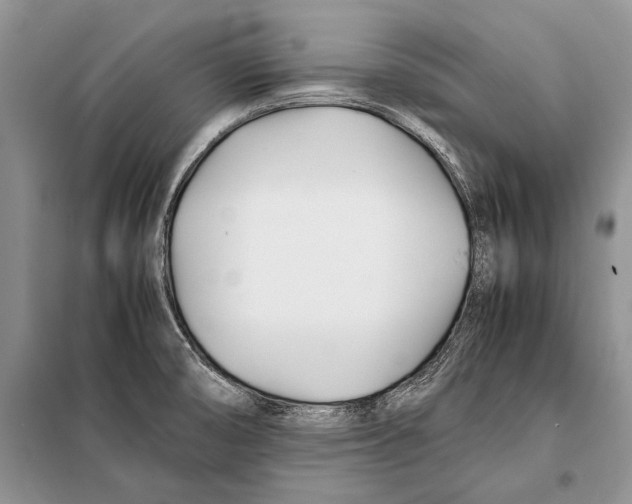 X0000098081474200805021010