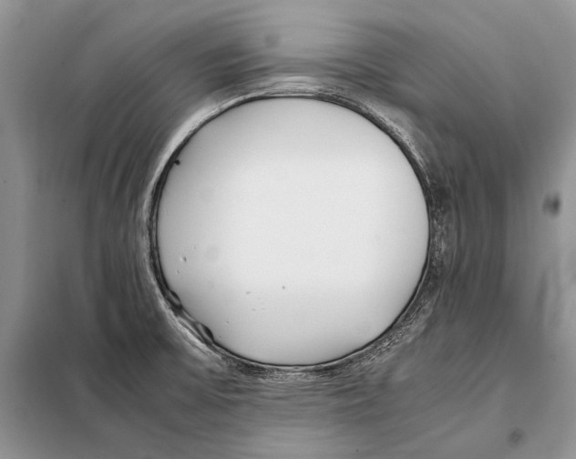 X0000098081475200805021010