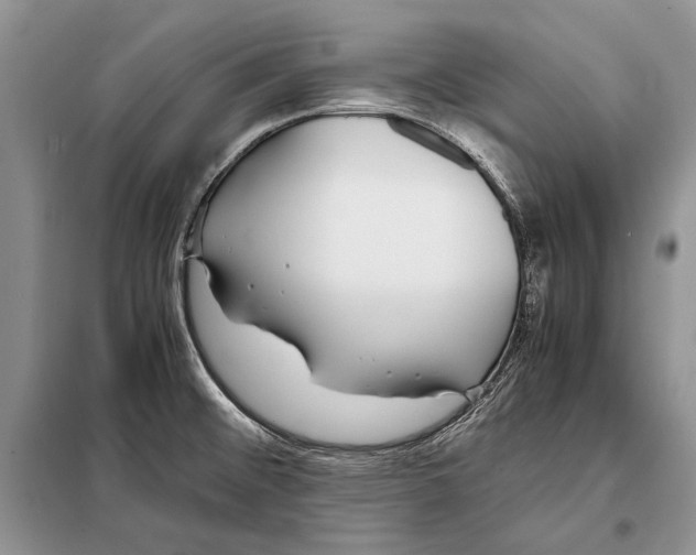 X0000098081476200805021010