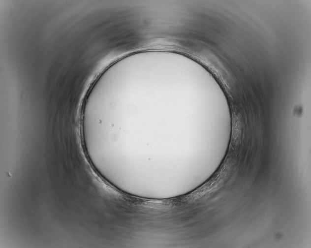 X0000098081478200805021010