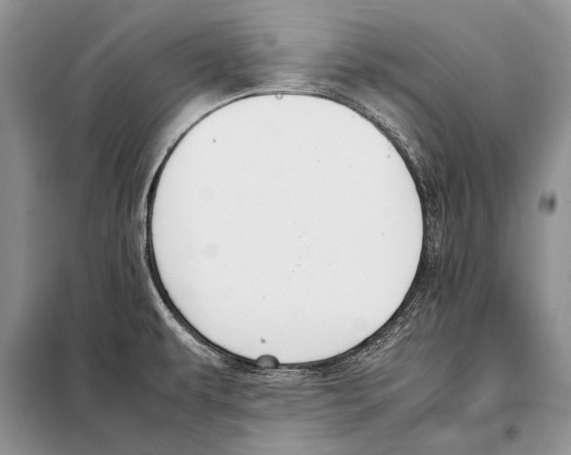 X0000098081479200805021010