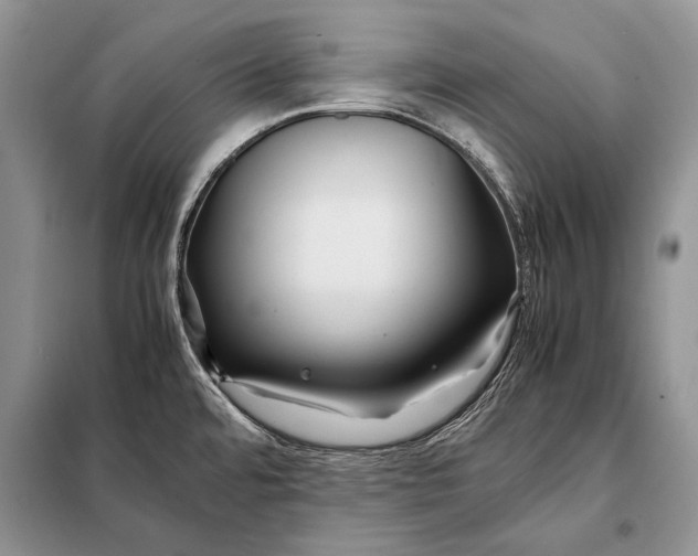 X0000098081480200805021010