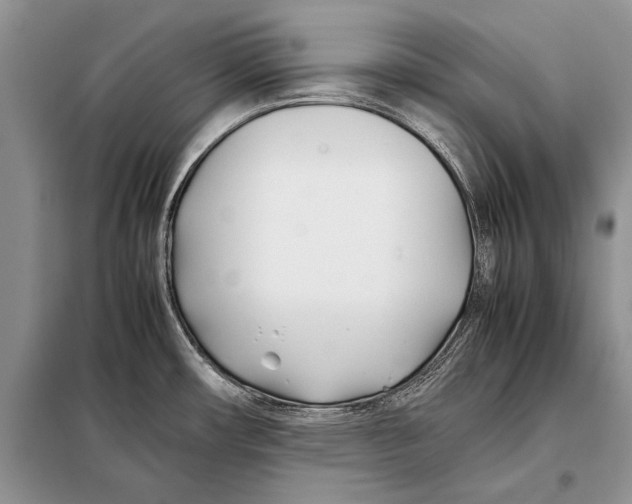 X0000098081482200805021010