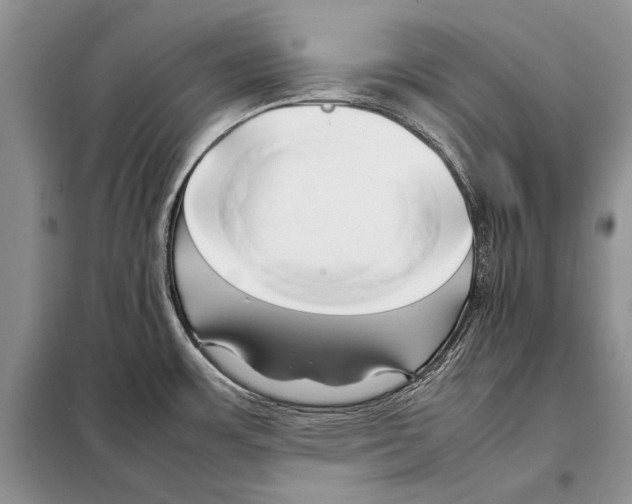 X0000098081483200805021010