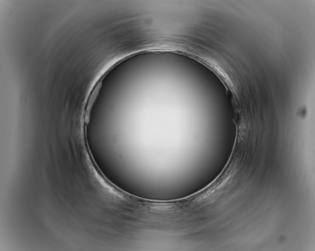 X0000098081484200805021010