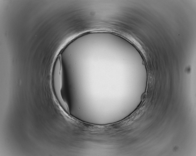 X0000098081485200805021010