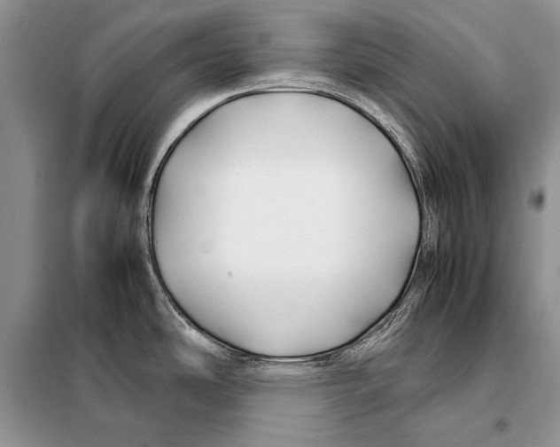 X0000098081486200805021010