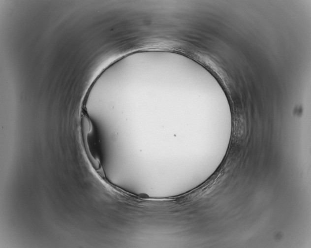 X0000098081487200805021010