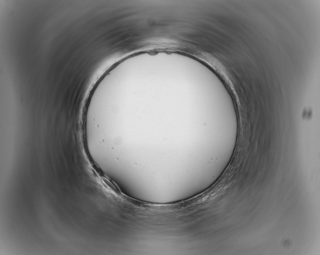 X0000098081488200805021010