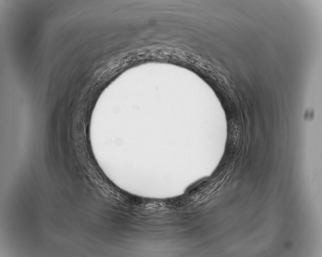X0000098081489200805021009
