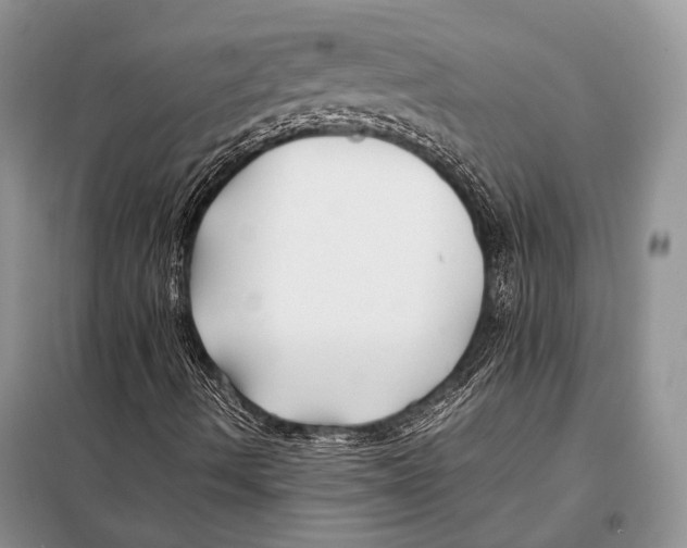X0000098081490200805021009