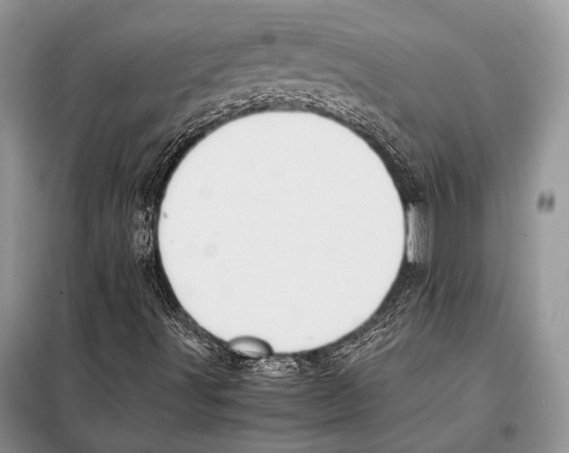 X0000098081491200805021009