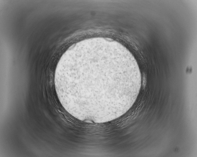 X0000098081492200805021009