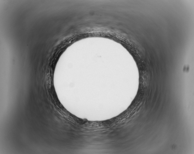 X0000098081493200805021009