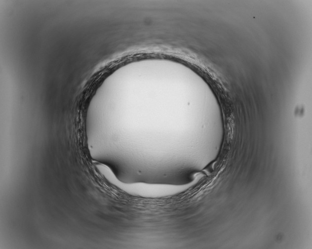 X0000098081494200805021009