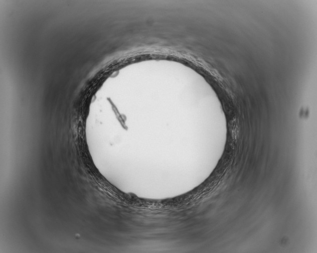 X0000098081495200805021009