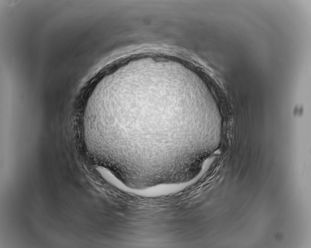 X0000098081496200805021009