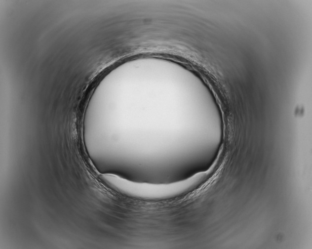 X0000098081497200805021009