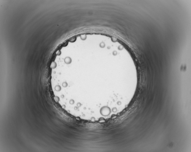 X0000098081498200805021009