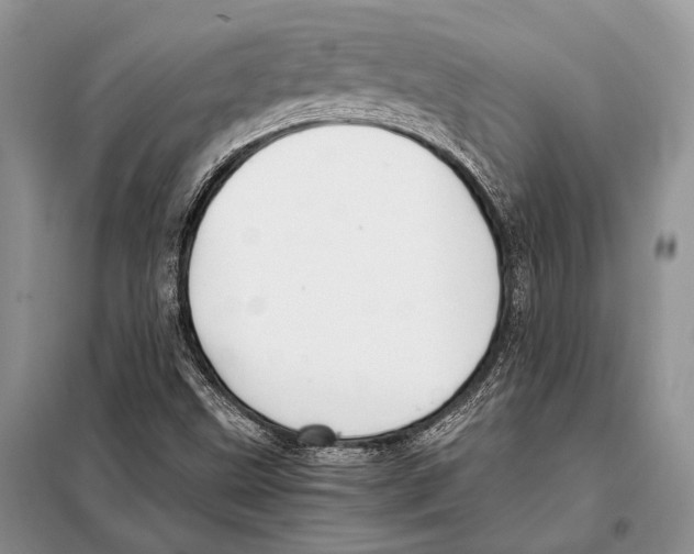 X0000098081499200805021009